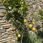 Alojamento de Acomodação e Pequeno-almoço Foresteria Antica Bastia 4*