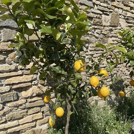 Bed and breakfast Foresteria Antica Bastia *