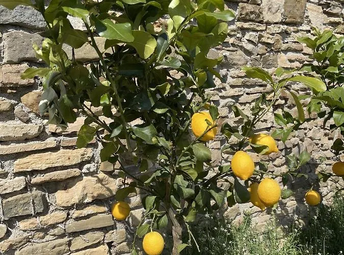 Bed & Breakfast Foresteria Antica Bastia 3*